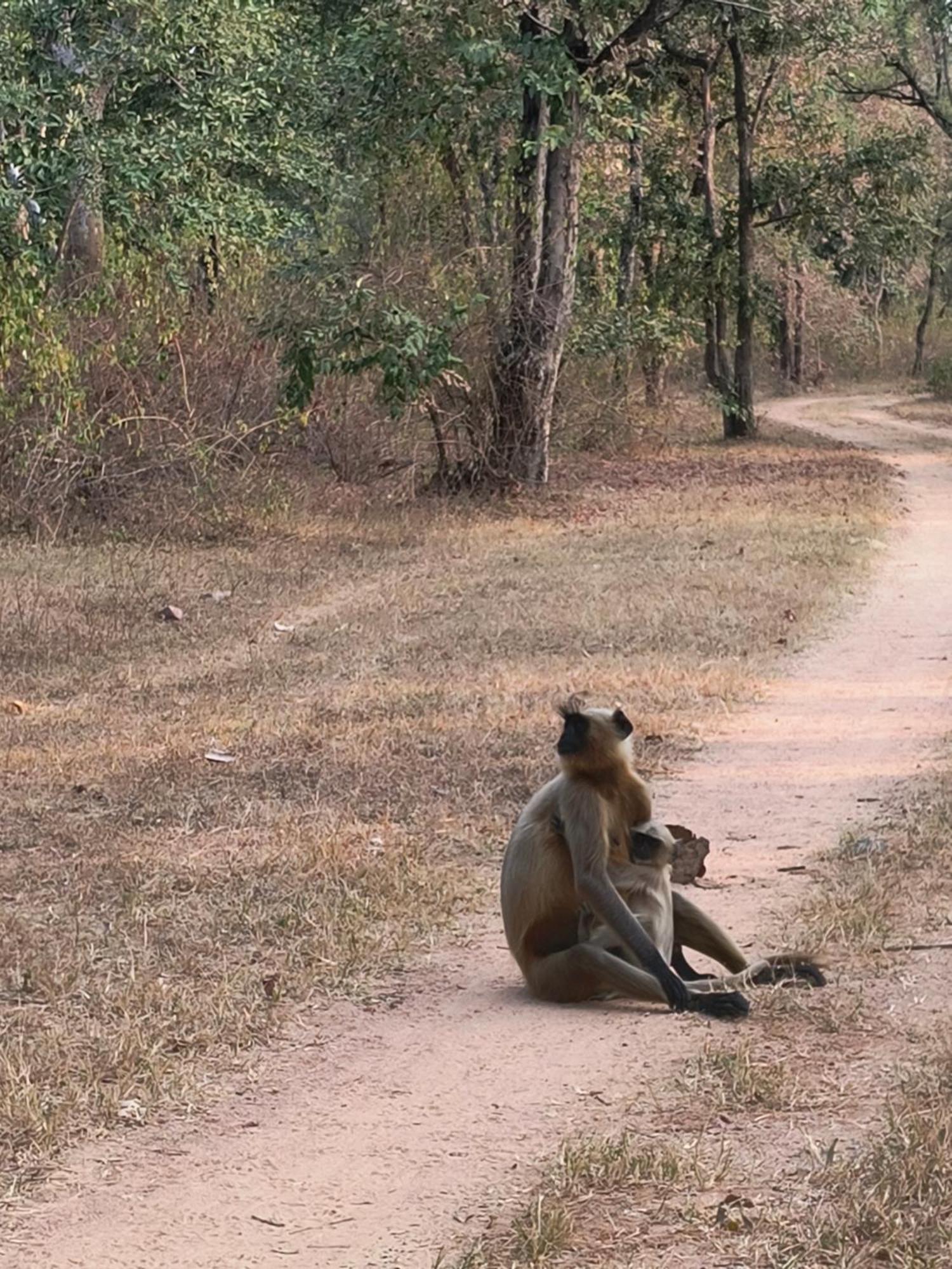 Khajuraho Dreams Homestay エクステリア 写真